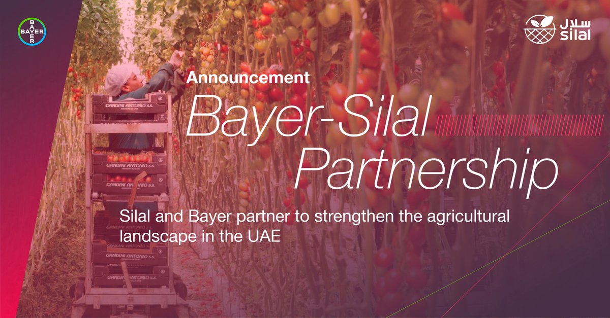 Today, we are pleased to announce our strategic partnership with <a href="/SilalUAE/">Silal</a> . A true reflection of our shared vision of a more sustainable and food-secure future for the UAE and beyond. 
bayer.com/media/en-us/si…

#Silal #TeamBayer #UAE #AgTech #AgInnovation #COP28