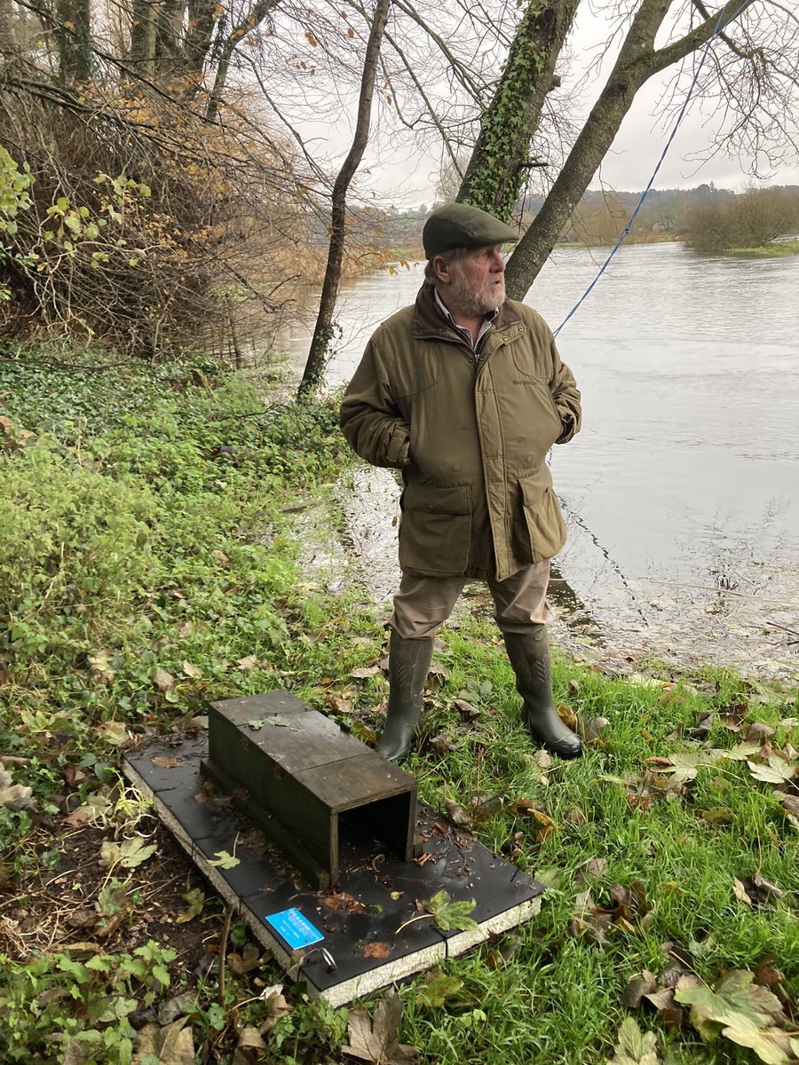 This week our Advisory and Research teams held a very well attended #mink control training day, covering the research and development behind the #GWCT mink raft, best practice, humane dispatch and the #technology now available to assist control.