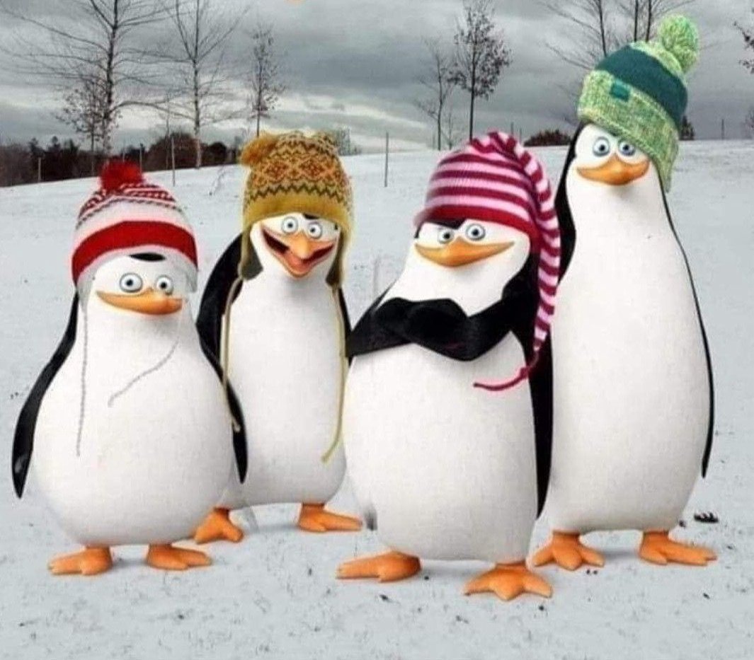 #cold #itscold #coldwave #oenguins #frio #oladefrio #friopolar #snowfall #pinguinos #moda #hats #fashionstyle #neige #neu #neve #nevadas