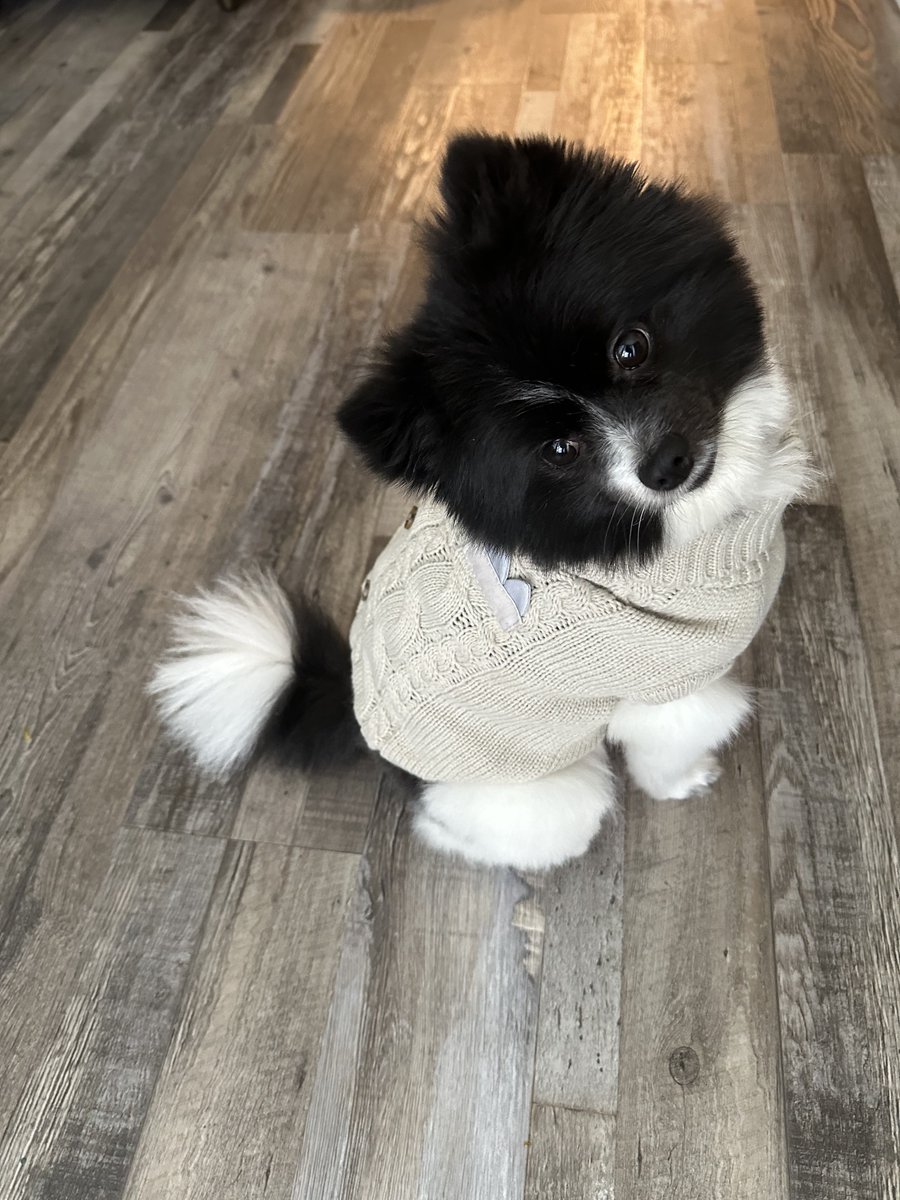 My handsome boy 🖤