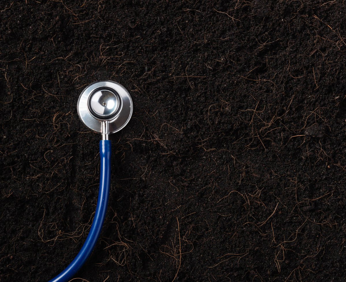📢 Happy World Soil Day - join us at 3pm today for the last SCLF webinar of 2023💻
🌱 Scotland’s soils are an important natural resource. We have 4 speakers exploring how the land contamination sector is contributing to sustainable soil management:sclf.co.uk/events