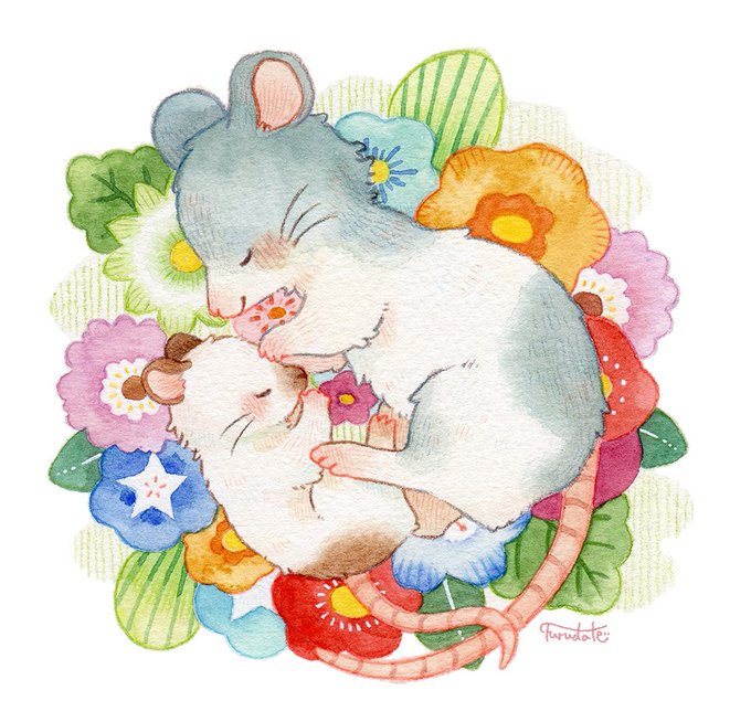 「closed eyes mouse」 illustration images(Latest)