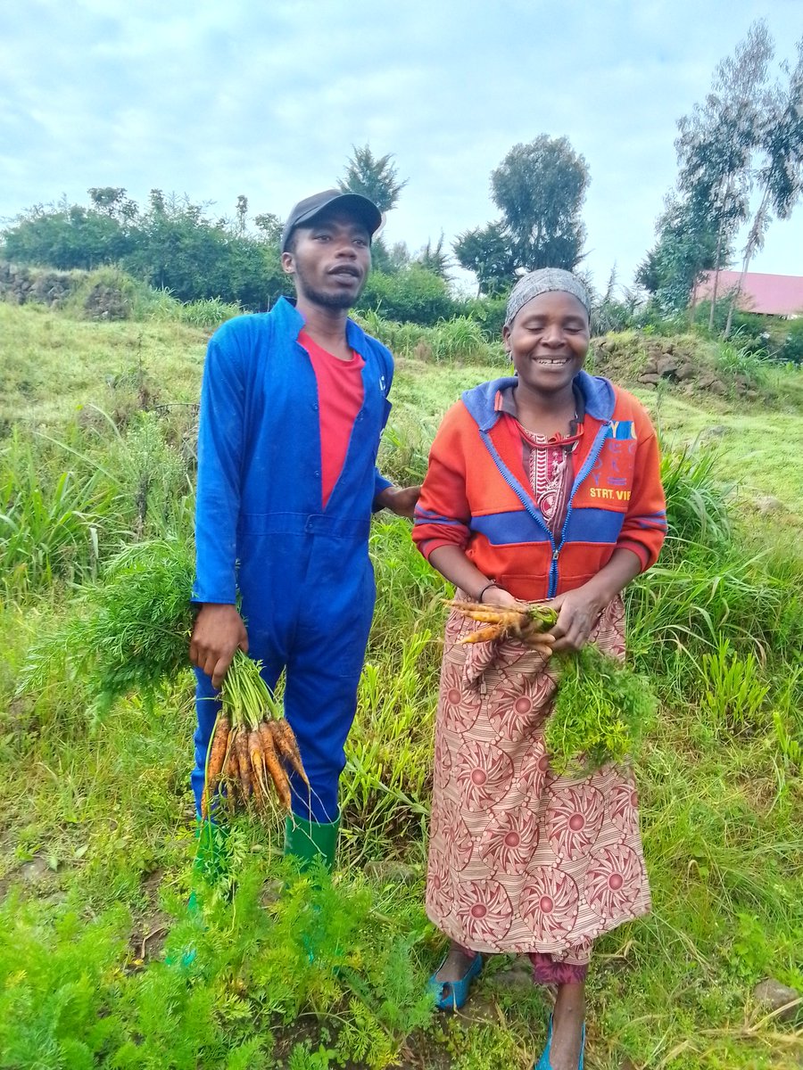 '🌱 Spent the morning at my carrot plantation, celebrating #WorldSoilDay with a bountiful harvest! 🥕 Grateful for the earth's gifts and the joy of sharing the moment with a fellow enthusiast. #HarvestJoy #NatureConnection'