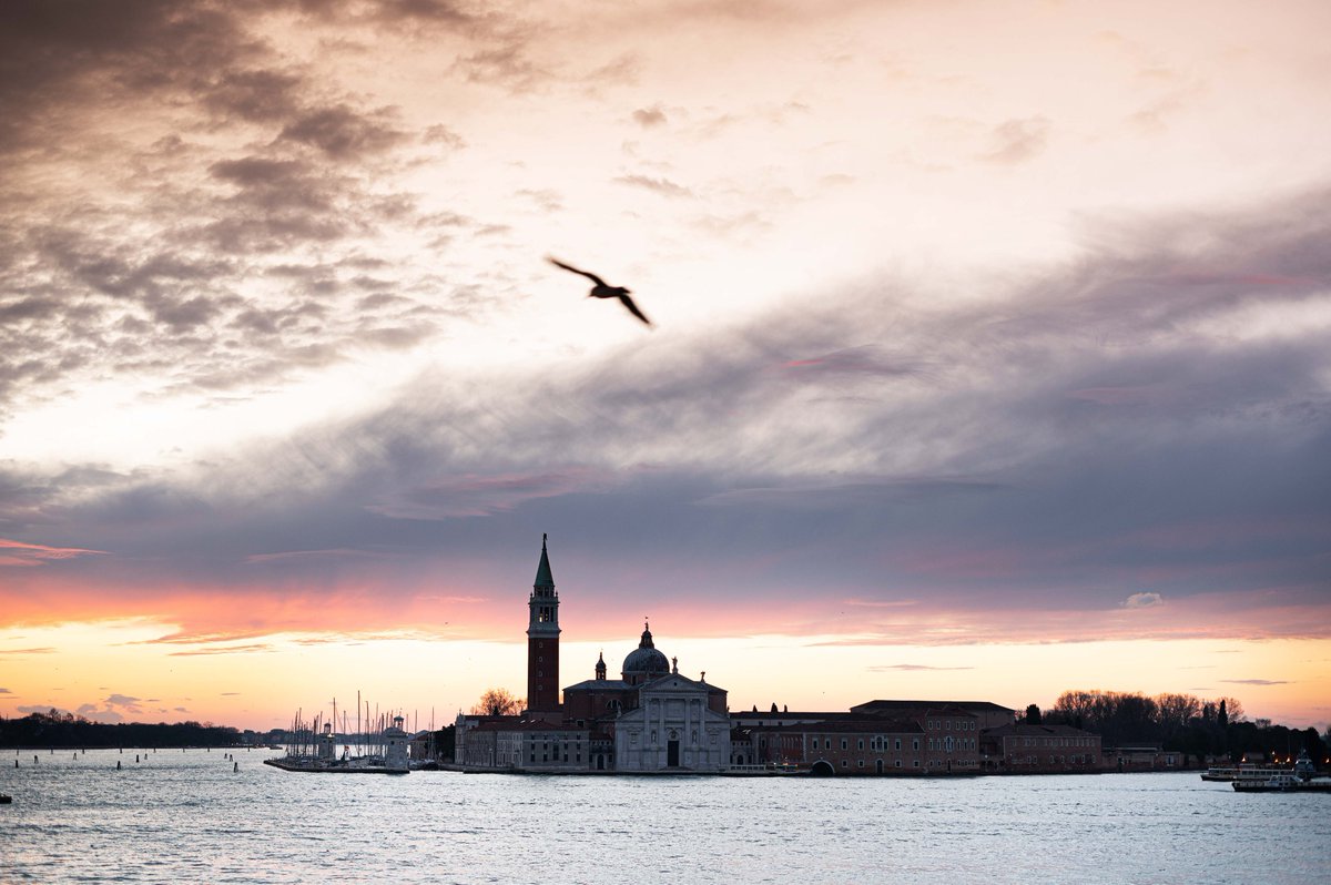 #ScuolaLibraiUEM
#UEM41
Ai librai che sono stati con noi in tutti questi anni verrà un po' di nostalgia, ai 30 fortunati che parteciperanno al 41esimo Seminario di Perfezionamento, beh... è tutto ancora da scoprire!
Ci alla <a href="/FondazioneGCini/">Fondaz. Giorgio Cini</a>, molto presto!
Ph. Yuma Martellanz