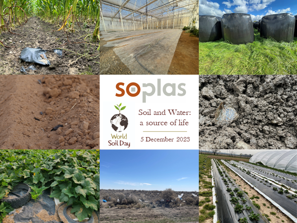 Soplas tweet media