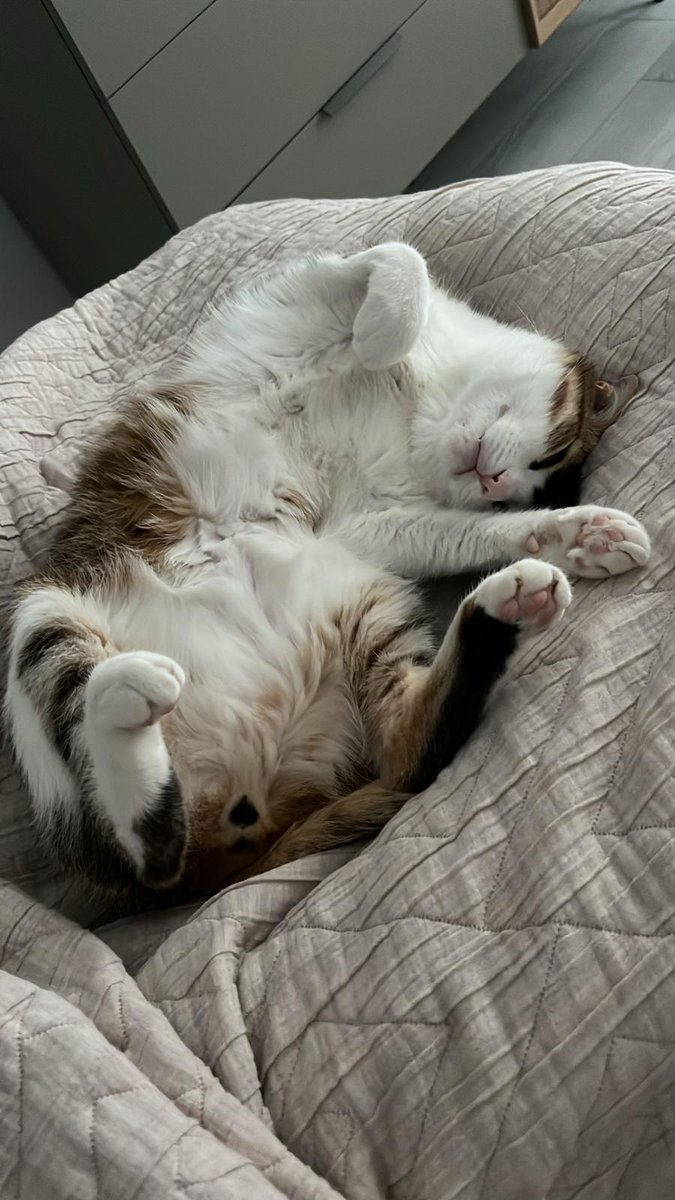 görseldekinden daha büyük geldi  gayet salaş insanın üzerine yapışmıyor tam beden alın çok memnun kaldım