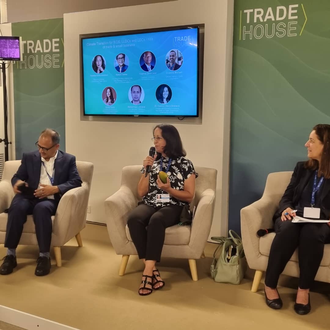 WFFeswatini's tweet image. Speaking at #COP28, our Executive Director, Sonia Paiva spoke to the need for 🌱#localpathways to enable trade policy. Her presentation recognized how #climatechange affects us differently. That&apos;s why we need local pathways to #adapt and #mitigate its impacts on #agriculture🌱