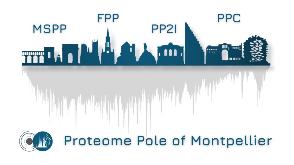 La plateforme @BiocampusMontp PPM intègre le cœur de l'infrastructure nationale en protéomique et rejoint, avec ProGénoMix et MS4Omics les trois plateformes fondatrices ! profiproteomics.fr/proteome-pole-… Félicitations à tous ses talentueux ingénieurs !