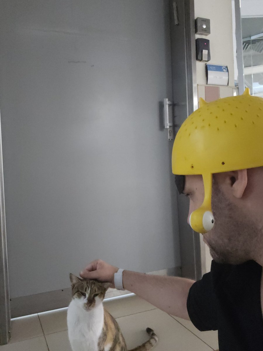 Sam_Baum's tweet image. Getting a #cat scan for my #colander, at the #hospital.
#ramen