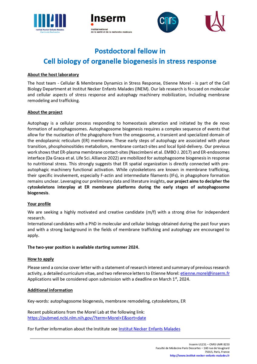 🔬Exciting #JobAlert! 🌟Are you interested in cytoskeletons and their role in organelle biogenesis and autophagy? The @MorelLab4 are on the lookout for a skilled cell biologist to join their dynamic team.🧪 Apply now and be part of cutting-edge research! institut-necker-enfants-malades.fr/index.php?menu…