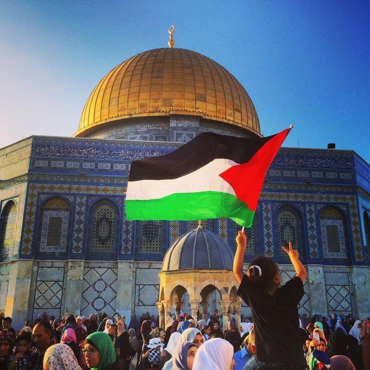 Jake_Grenell's tweet photo. @azaizamotaz9 A Palestinian child once said 
" We pray 6 times a day, Fajr, Zuhr, Asr, Maghrib, Isha, Janazah " https://t.co/kfqWrTSsFJ