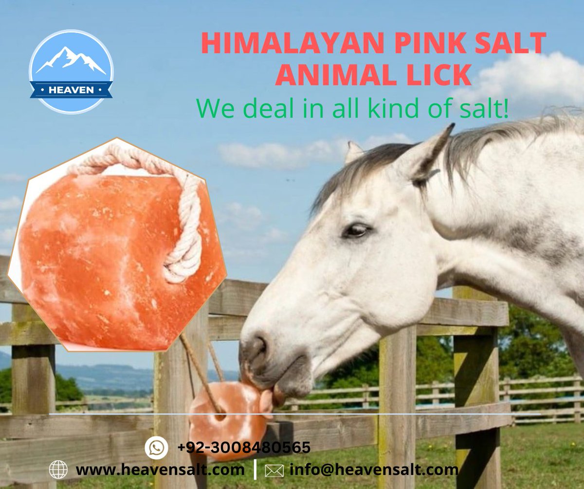 heavensaltpk's tweet photo. Heavenยฎ Pink Himalayan Salt Lick provides minerals to wildlife, pets and all land animals.
We have variety of Himalayan Lick Salt, Please contact us:
WhatsApp: +923008480565
Web: https://t.co/RwSpGK7jMf
#animalsalt #licksalt #HimalayanSaltLick #animallover #horselick #cattlesalt https://t.co/otK76TKtYE