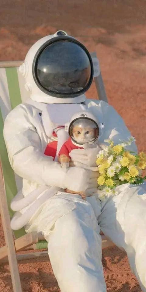❣️❣️