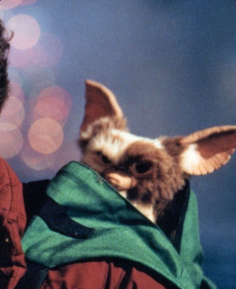 montei minha arvorezinha