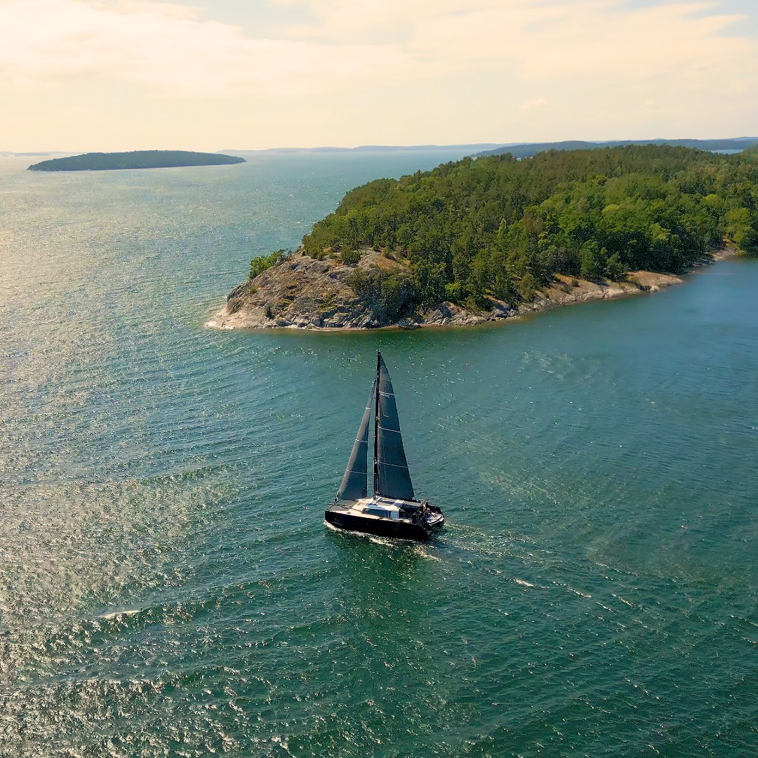 Oceanvolt tweet media