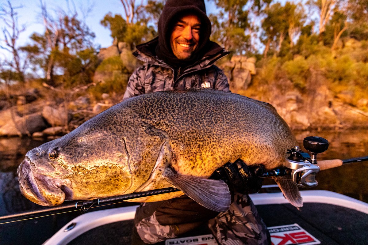 deandotfish's tweet photo. Still trying to decide if I should travel down south for some summertime slobs and some wild river fishing or just stay up here with all the silver fish! 🤷🏼♂️ #decisions #codfishing #murraycod #copeton #rivers https://t.co/lvA8wcYYgZ