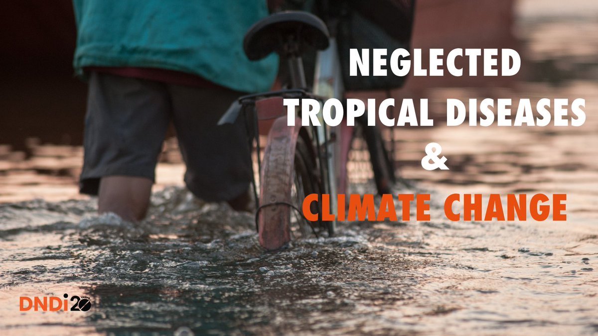 As #COP28 dedicates a day to health, @DNDi would like to highlight that neglected tropical diseases are climate sensitive. As endemic countries implement the @WHO #NTDRoadmap for eliminating #NTDs by 2030, they need to consider the impact of climate change on these diseases.