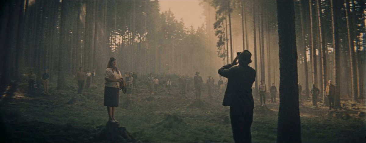 One_PerfectPage's tweet image. The Cassandra Cat (1963)