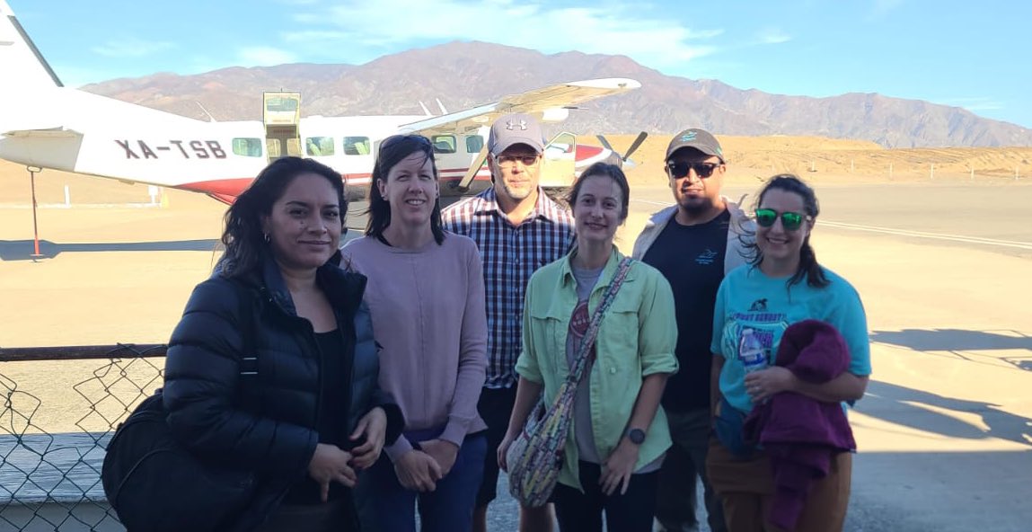 TreeMicrobiome tweet media