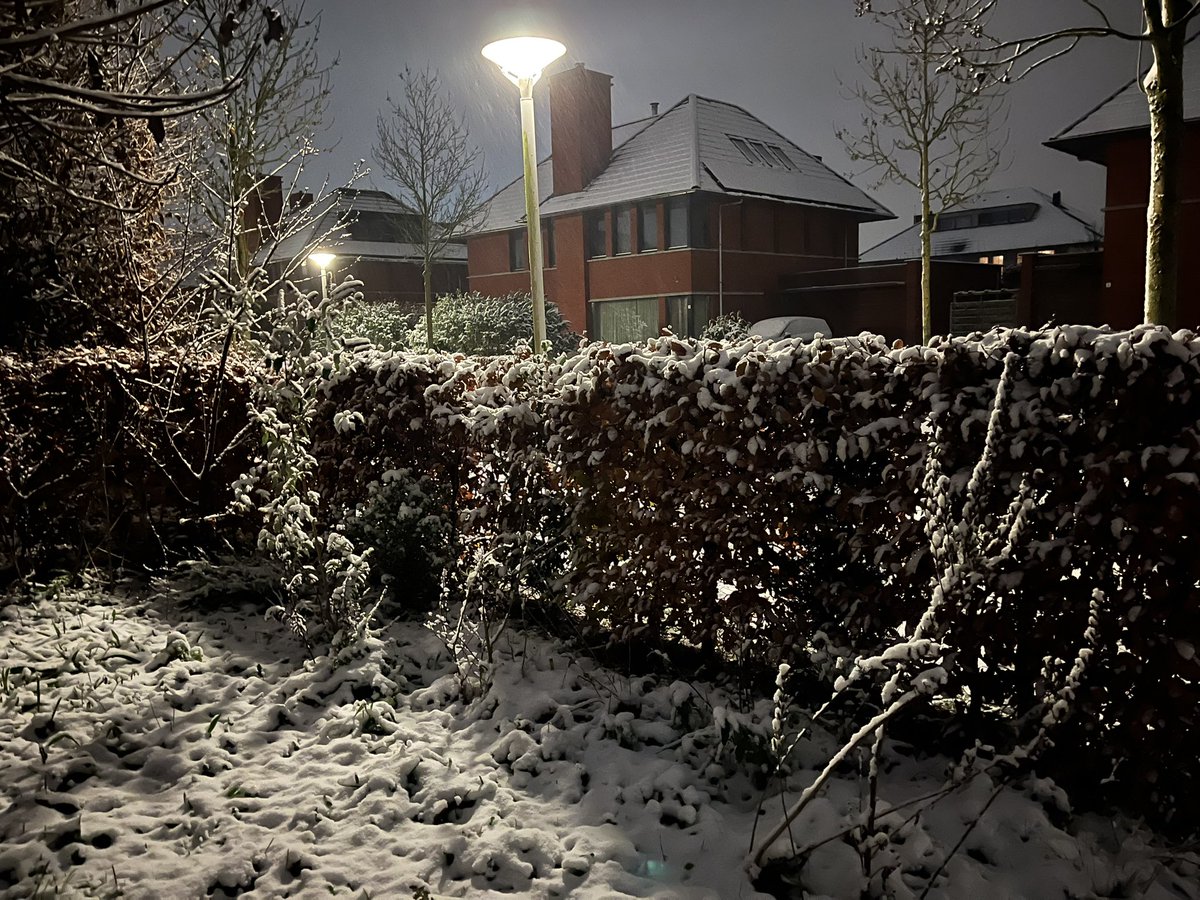 Wauw 3 cm wit goud in #Eelderwolde, het begint op de winter van 2010 te lijken 😃⛄️.