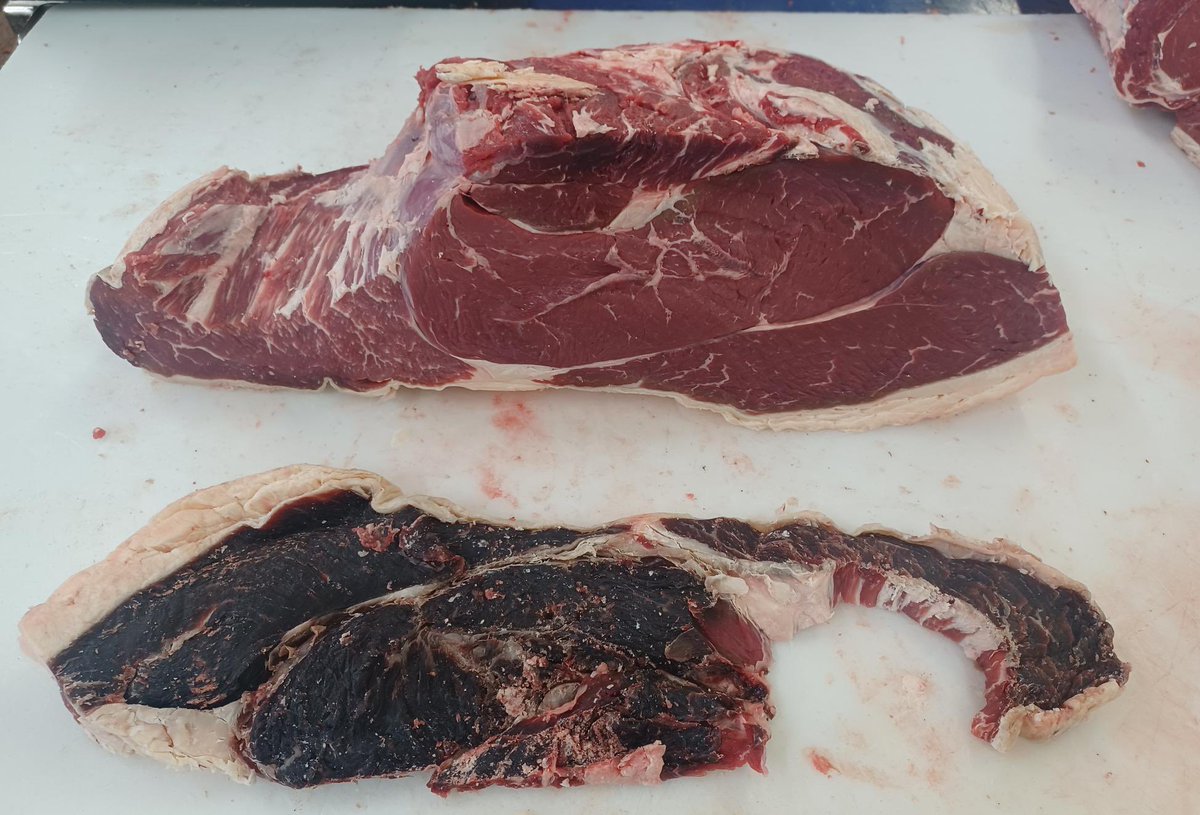 StoddartsBeef's tweet image. Scotch Dry Aged Rump, Rump is a perfect alternative to the traditional Topside or Silverside Roast at this time of year. #stoddartassured #bestinbeef #selected #provenance #scotchbeef #dryagedbeef #rump #rumpsteak #roast #roastbeef #alternativeroast #steak #carcassbalance
