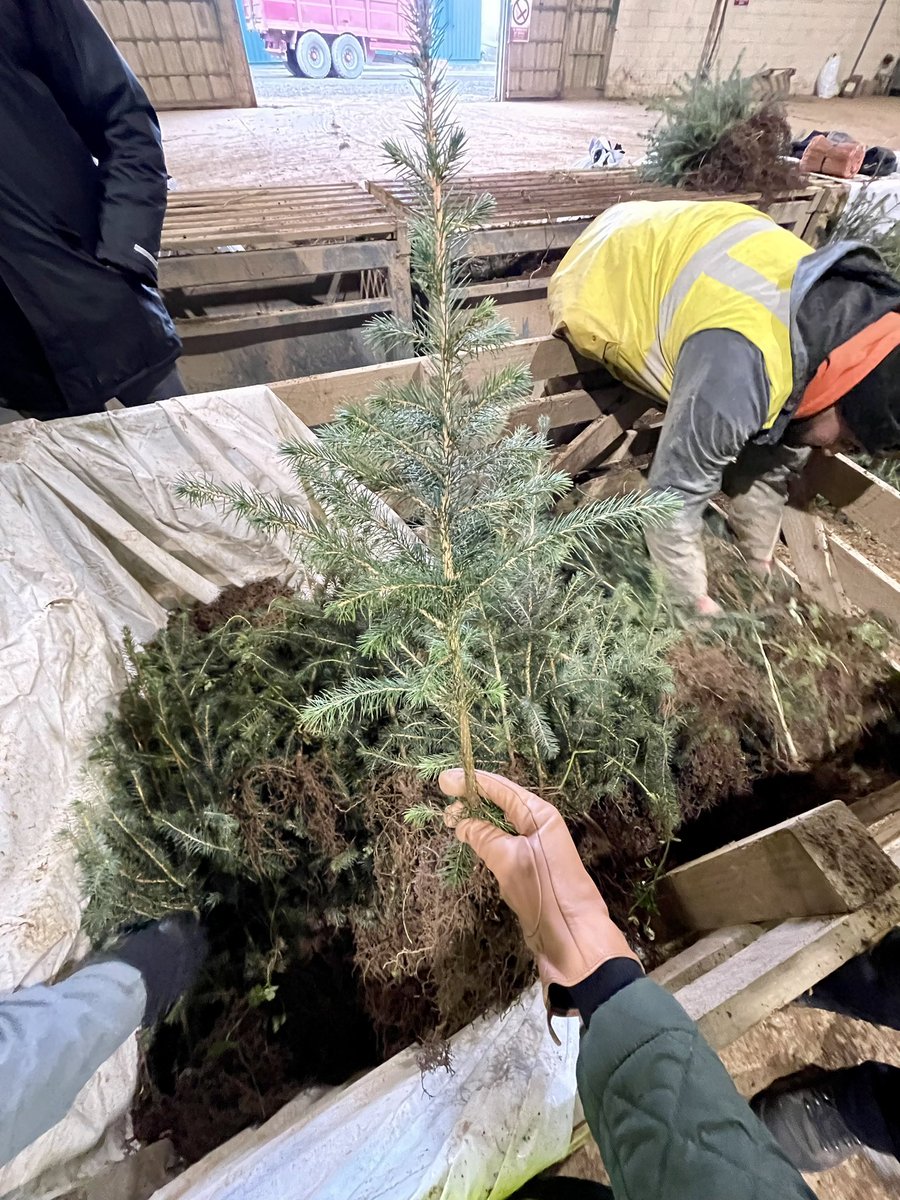 pippa_hackett's tweet photo. I had a good visit to None So Hardy Nurseries yesterday, Irelandโs largest supplier of saplings to the private forestry owners. We need to plant more trees, of all types - conifers and broadleaves - and for many of our future woodlands, that journey starts here. @nshforestry https://t.co/VI4dSxglHW