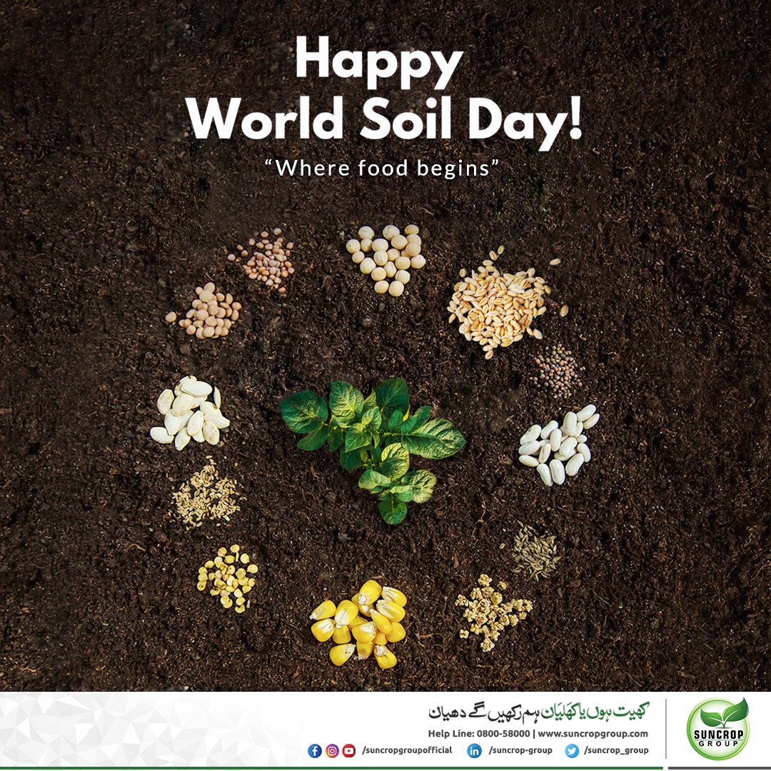 suncrop_group's tweet photo. Let's recognize soil as a living ecosystem vital for food, water, and a thriving environment.
____World Soil Day 

#WorldSoilDay #SustainableLiving #HealthySoils #guidelines #development #agriculture #suncrop #farmers #bestquality #Pakistanfarming 
https://t.co/LqqHfWeMMh https://t.co/gBg0PUjvlI