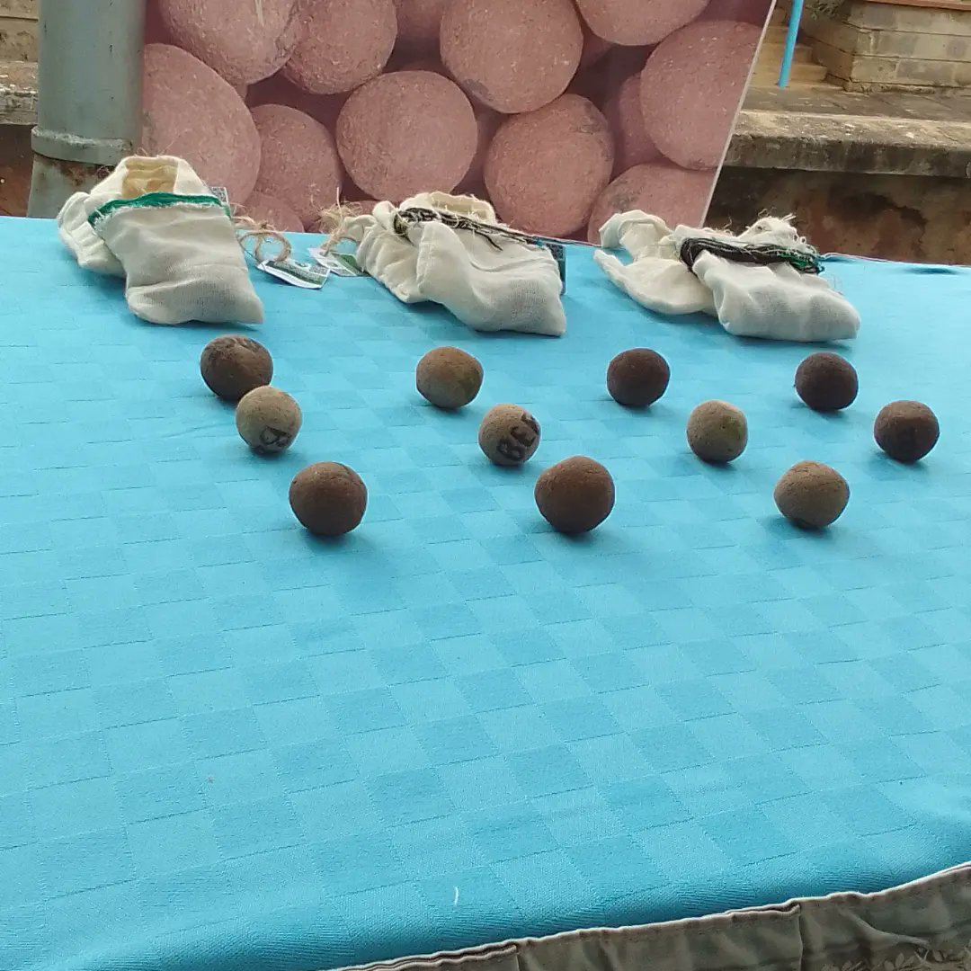 helina teklu tweet media