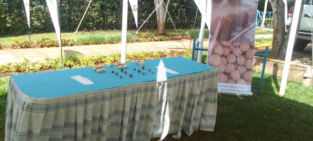 helina teklu tweet media