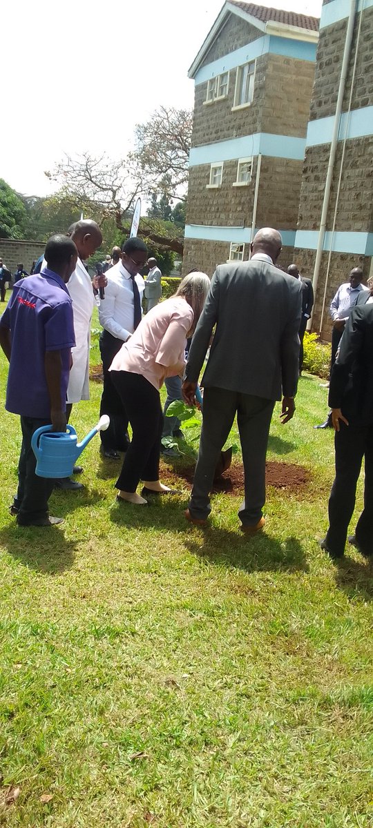 helina teklu tweet media