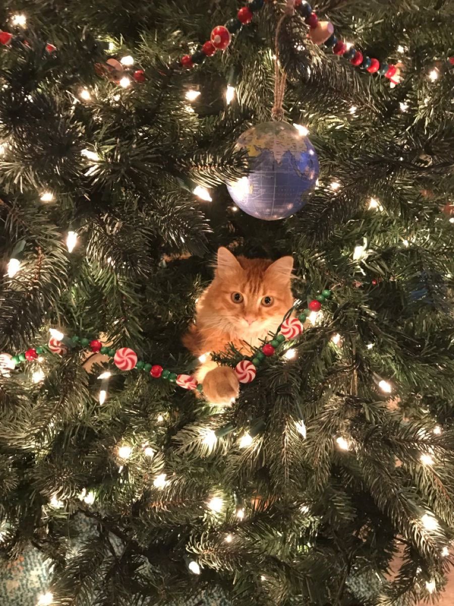 “ 20 days left until christmas 🎄🎅🏻 ”