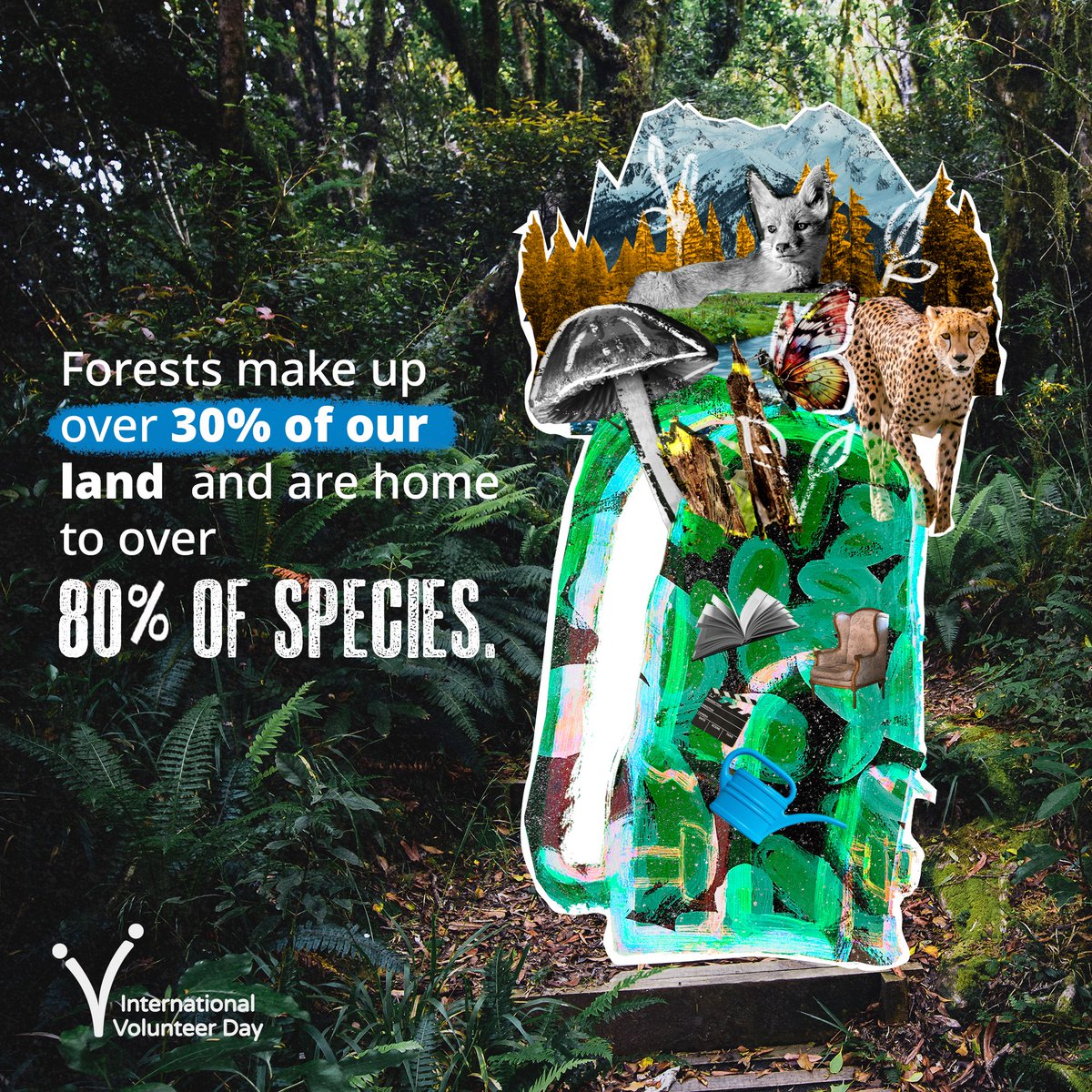 On Tuesday’s Volunteer Day #IVD2023 and every day, join hands to protect forests – imagine #IfEveryoneDid. These vital ecosystems cover 30% of land and provide a home for over 80% of species. @UNVolunteers info: unv.org/pressrelease/i…