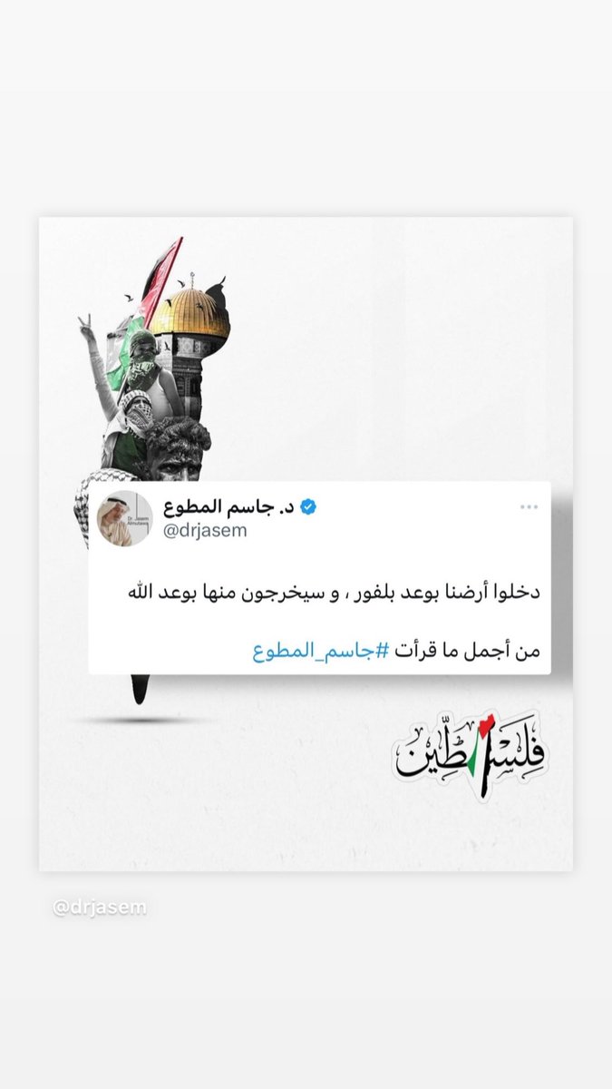 areej tweet media