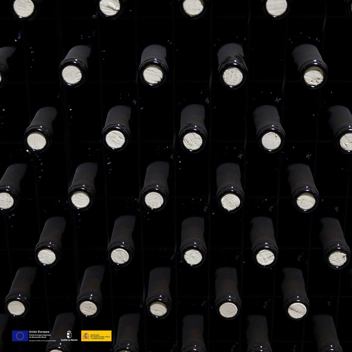vinodelamancha's tweet photo. Donde la tradición se encuentra con la innovación, nace la magia de nuestros vinos. La Mancha en cada sorbo.
.
#vinodelamancha #winelover #DOLaMancha #DenominaciónDeOrigen #vinosdecalidad
#botelleros #botellasdevino #corchos https://t.co/FjYWsV4q6n