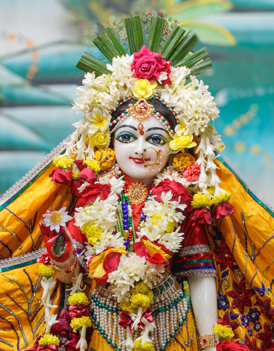 iskconvicc's tweet image. Śrī Śrī Radha Gopal Darshan - 5/12/2023 @iskconvaranasi 
.
.
#iskconindia #iskcon #iskconvaranasi #iskconvicc #harekrishna #harekrishnaharekrishnakrishnakrishnahareharehareramahareramaramaramaharehare #iskcontemple #iskcondarshan #dailydarshan #radharani #krishnaconsciousness