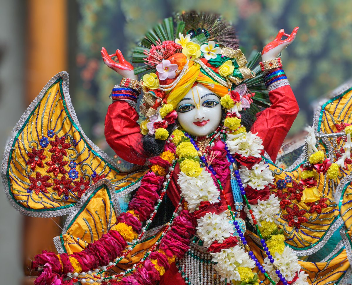 iskconvicc's tweet image. Śrī Śrī Radha Gopal Darshan - 5/12/2023 @iskconvaranasi 
.
.
#iskconindia #iskcon #iskconvaranasi #iskconvicc #harekrishna #harekrishnaharekrishnakrishnakrishnahareharehareramahareramaramaramaharehare #iskcontemple #iskcondarshan #dailydarshan #radharani #krishnaconsciousness