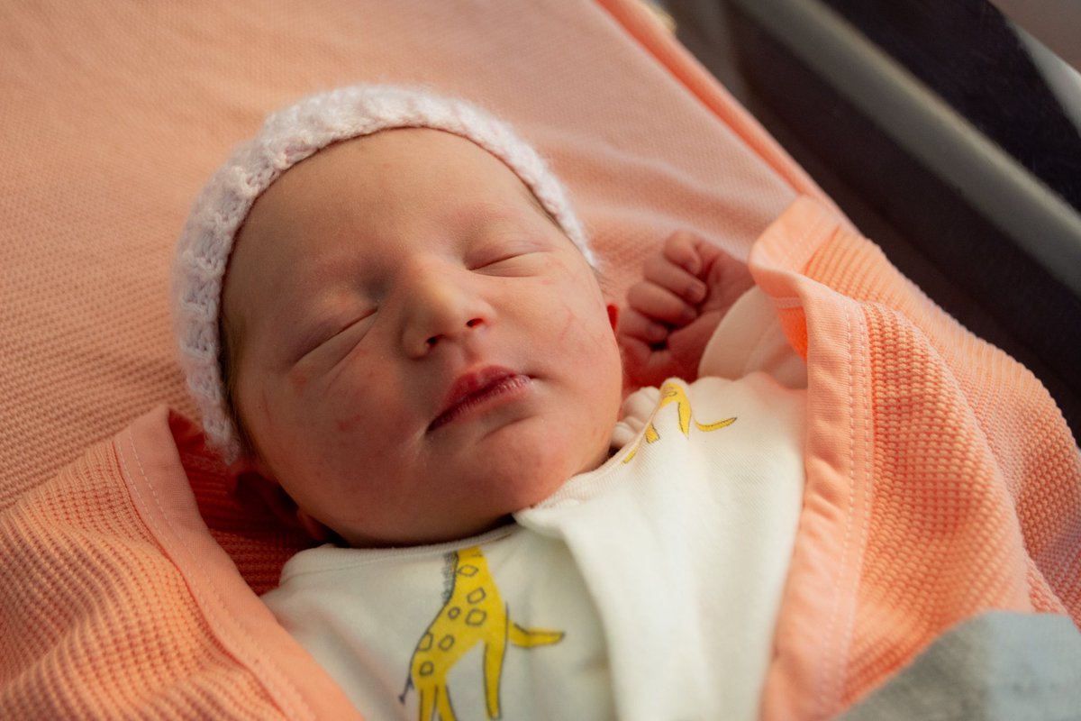 Jo Belot tweet media