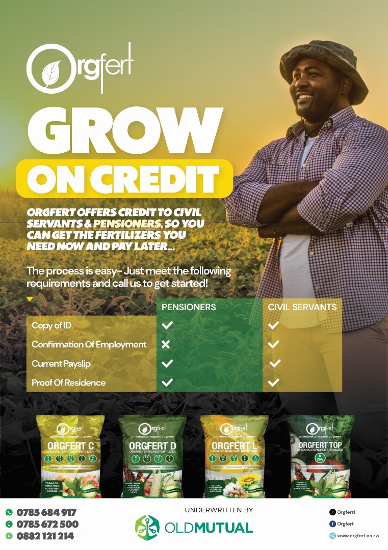 Orgfert1's tweet image. Talk to us today and let us help you achieve that dream harvest this season!
#kohwazvinodadisa
#harvestwithpride
0785684917
0785672500