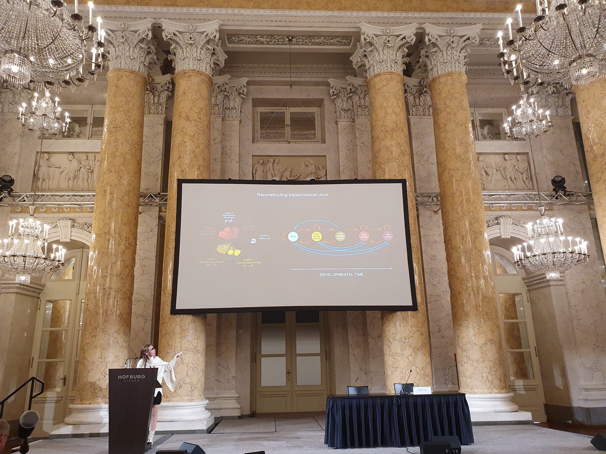 Maria Rostovskaya (@mariarostovsk) on Twitter photo First day at <a href="/ISSCR/">ISSCR</a> Vienna International Symposium! Excited to give a talk and listen from <a href="/Duboule/">Denis Duboule</a> <a href="/ArlottaLab/">Arlotta Lab</a> <a href="/TreutleinLab/">Treutlein lab</a> Joanna Wysocka <a href="/mad_lancaster/">Madeline Lancaster</a> <a href="/NRivron/">Nicolas Rivron</a> at the fantastic venue in Hofburg! And great to catch up with friends! First day at <a href="/ISSCR/">ISSCR</a> Vienna International Symposium! Excited to give a talk and listen from <a href="/Duboule/">Denis Duboule</a> <a href="/ArlottaLab/">Arlotta Lab</a> <a href="/TreutleinLab/">Treutlein lab</a> Joanna Wysocka <a href="/mad_lancaster/">Madeline Lancaster</a> <a href="/NRivron/">Nicolas Rivron</a> at the fantastic venue in Hofburg! And great to catch up with friends!