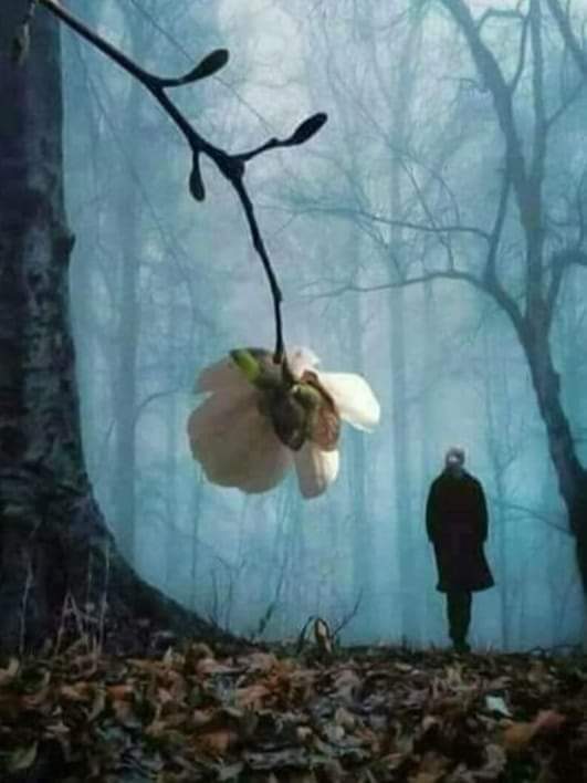 بےخد چاہت کا اک ہی انجام ہوتا ہے 
ہونٹوں پر خاموشی دل میں طوفان ہوتا ہے 
کوئی سمجھتا ہی نہیں کسی کے جذباتوں کو 
پیار تو سب کو ایک بار ہوتا ہے 
پھر نظر نہیں آتا کچھ بھی 
لیکن سب کچھ سرعام ہوتا ہے 
مانتے نہیں والدین کسی کے 
موت آخری راستہ 
جنازہ آخری علان ہوتا ہے
#X_promo