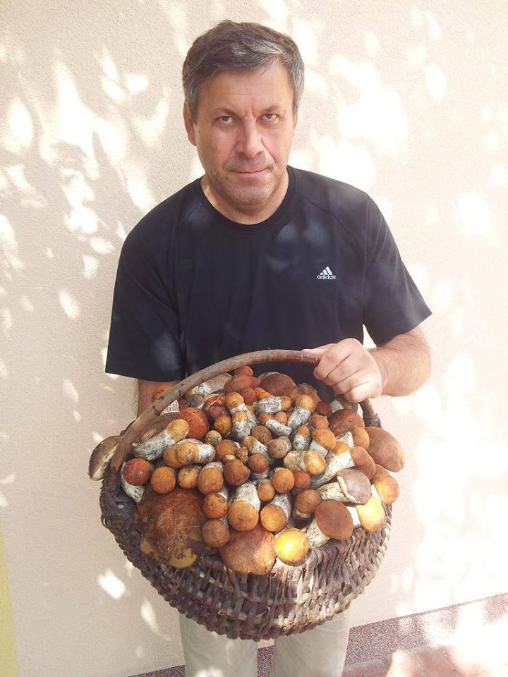 Piechocinski tweet picture