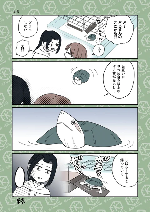 亀が寄ってきた後 
