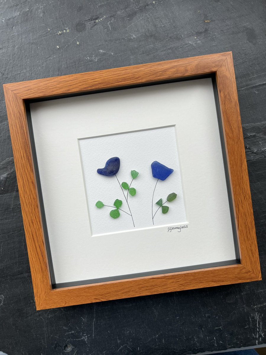 fifeseaglass tweet media