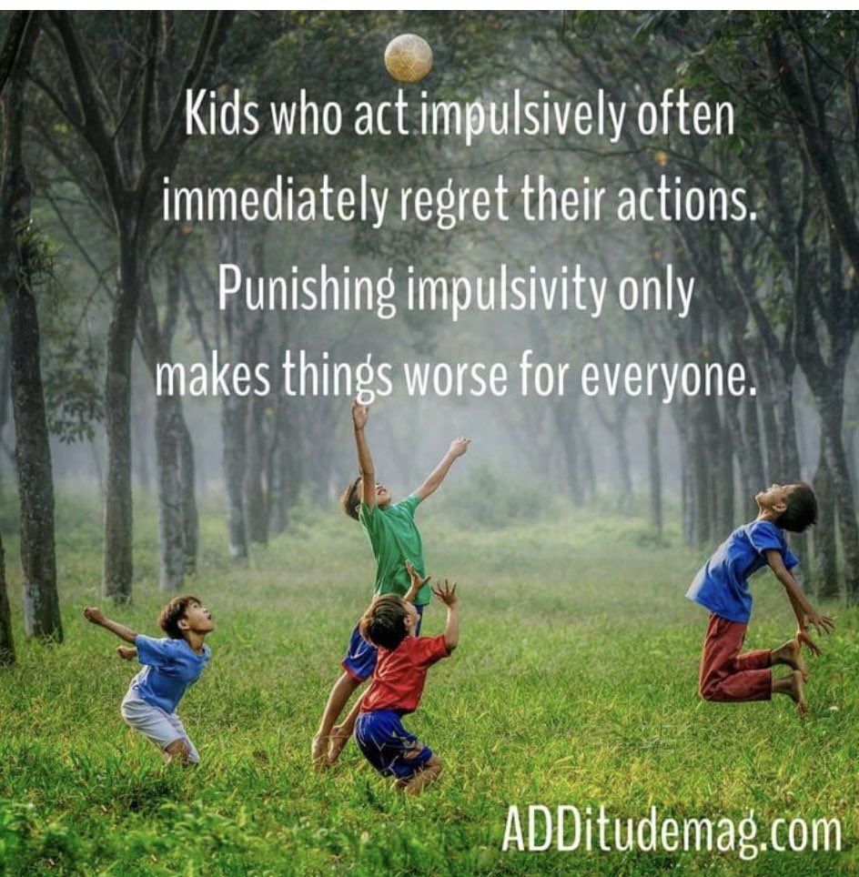 Lynne Fettes tweet media