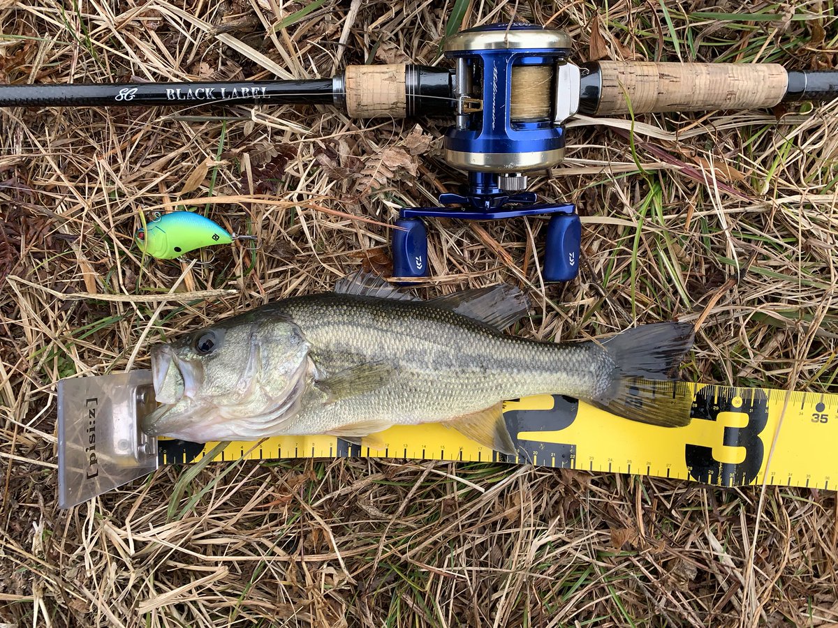 AvinchuKatsu's tweet photo. バイブレーションをテーマに敢行した今朝の朝練は、およそ1ヶ月振りの釣行🎣
季節も完全に冬となり苦手なシーズン到来💦
サイズは小さくても、このバスに出会えた事に感謝😊
寒さを忘れさせる感謝の1本👍
#daiwa
#BlackLabel
#millionaire
#RAIDJAPAN
#LevelVib
#Fishing_Team_BIG_MOUTH https://t.co/I44BfYP9p6