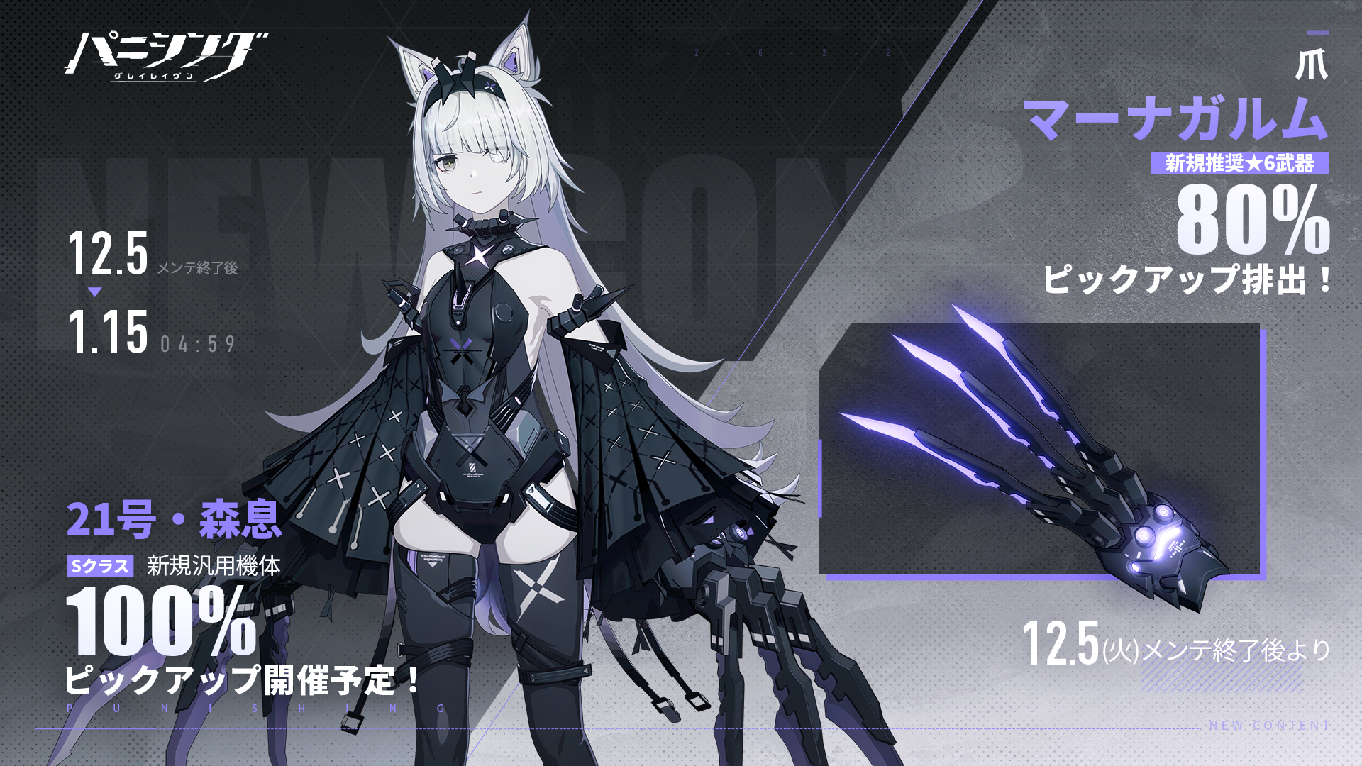 パニシング：グレイレイヴン　ノクティスセット　パニグレ パニシング：グレイレイヴン ノクティスセット パニグレ パニシング