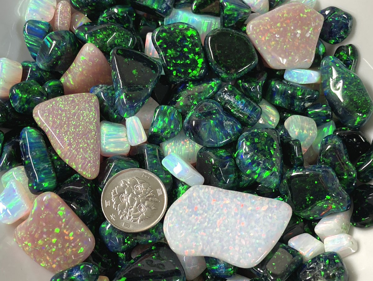 inosehousekito's tweet image. フローレスオパールのバレル研磨済みの原石もございます✨
人気のブラック緑斑もたくさんご用意させていただきました。