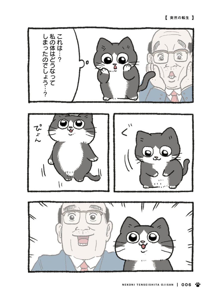 yajima_en's tweet photo. ねこに転生したおじさんが「プンちゃん」と名付けられて可愛がられるまで🐱（👨）

1/7 https://t.co/VMvMUvOBrr