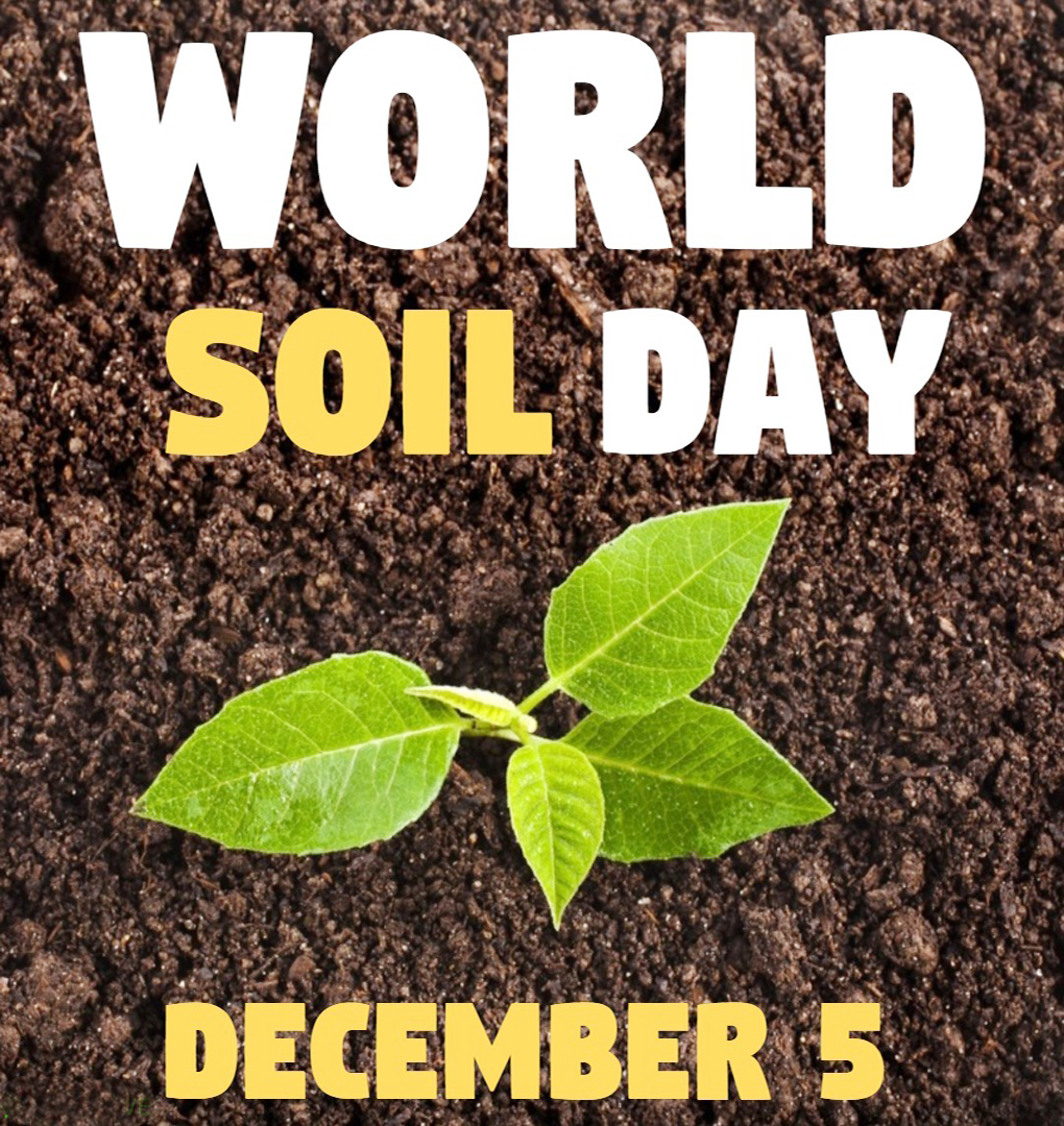 Soil is essential to sustain all forms of life on Earth. Healthy soil can ensure a healthy & sustainable life. Let us aims to raise awareness of the importance of sustaining healthy ecosystems by protecting soil health. #WorldSoilDay