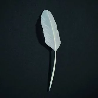 goethegesweimar's tweet photo. Klassik-Forschung trifft auf True Crime. Unter diesem Motto findet am Nikolausabend um 18 Uhr ein ganz besonderes Expertinnengespräch statt.

https://t.co/mpLuXlw7DO https://t.co/sS964gWBLZ